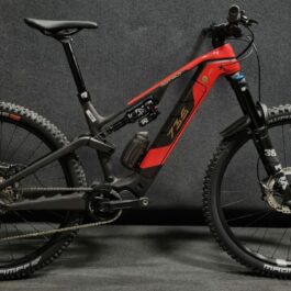 RideUP.ch - Rotwild R.X735 PRO - Shimano EP8 - 720Wh