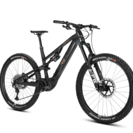 RideUP.ch - Rotwild R.E375 Core - Shimano EP8 - Light Enduro