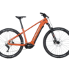 RideUP.ch - Lapierre Overvolt HT 7.6 - Bosch 625Wh